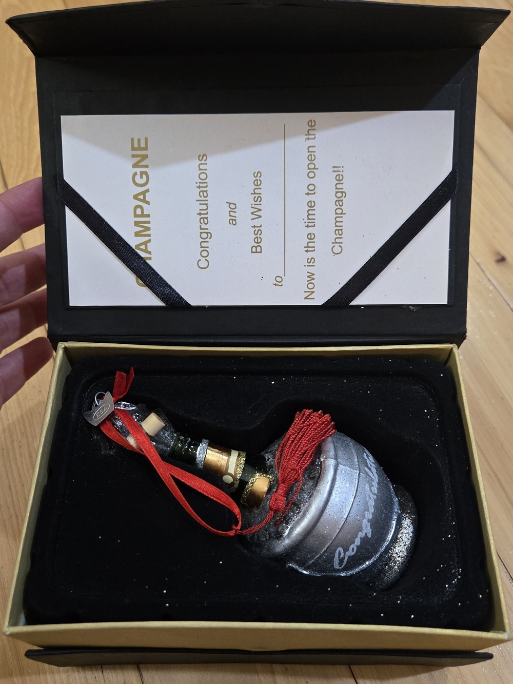 Champagne Bottle Glass Ornament Gift Set